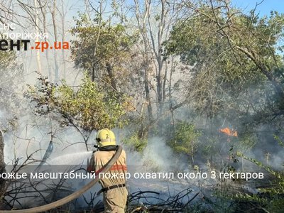В Запорожье масштабный пожар охватил около 3 гектаров