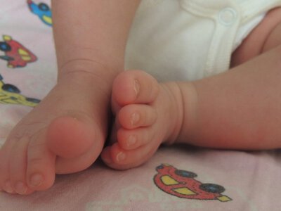  Сколько малышей родилось в столице в день выборов 