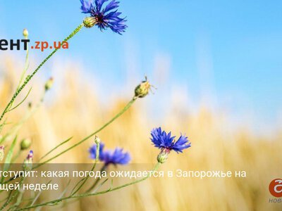 Жара отступит: какая погода ожидается в Запорожье на следующей неделе