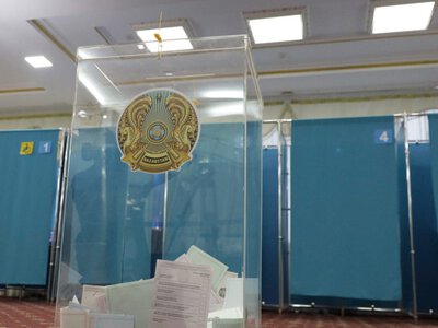  Иностранный наблюдатель рассказала об обстановке на избирательных участках 
