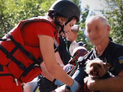 В Чернигове дрон попал в многоэтажный дом: много пострадавших