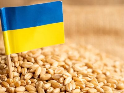 Молдова меняет правила для украинского зерна: почему это важно для Одесской области