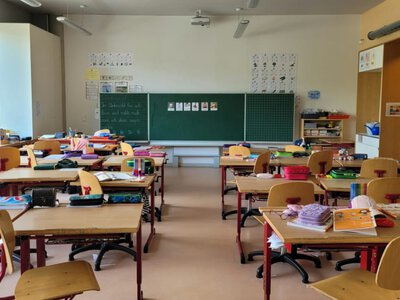 Ни одного немца в классе: рассказ украинки об учебе дочери в Германии взбудоражил сеть (Видео)