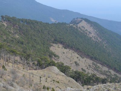 В Ялте шестой день тушат лесной пожар