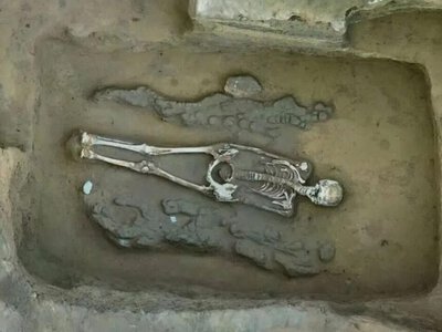 Археологи обнаружили в Китае 4300-летнюю гробницу с драконом и фениксом