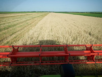 Проблем с дефицитом продукции и оснований для критического подорожания нет, урожай хороший - министр