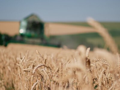 Украину из-за ее аграрки в ЕС никто не пустит: европейские фермеры не хотят делиться дотациями