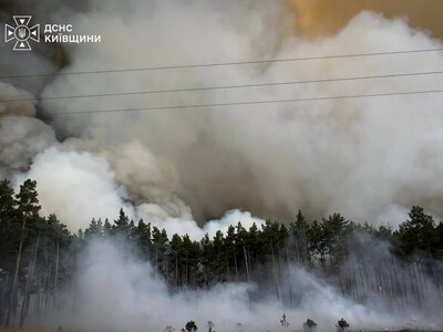 К Киеву приближается масштабный пожар: горящий вторые сутки, - ФОТО