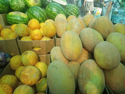 Як змінилися ціни на продукти харчування у Запоріжжі наприкінці літа 2026 року