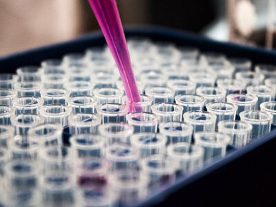 ШІ вперше спроєктував цілі вірусні геноми — 16 із них реально знищували E. coli