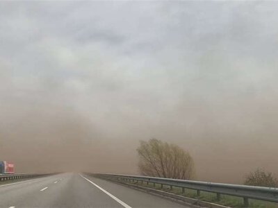 Первые доказательства пользы ULEZ: как сокращение выбросов автотранспорта в Лондоне спасло легкие детей