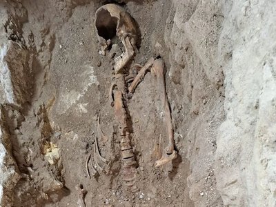 700-річний скелет міг належати першій відомій жертві требушета: на кістках нарахували 161 перелом