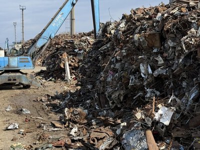 Украинская ломозаготовительная отрасль оказалась в шаге от остановки: какие причины