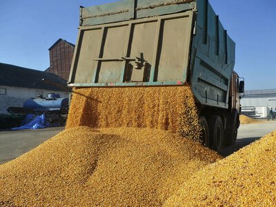Росія розглядає скасування експортного мита на зерно через проблеми з морською логістикою