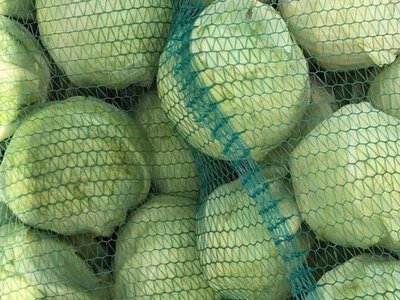 Цены на овощи в Украине — стоимость овощей 26 августа