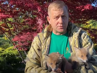Владельца крымского парка львов «Тайган» Зубкова будут судить в Украине за вывоз животных из заповедника «Аскания–Нова»