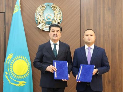 Казахстан развивает сотрудничество в сфере лесоклиматических проектов
