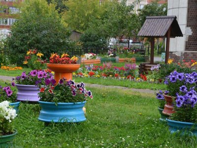 Покажи свой чистый двор: Карагандинский зоопарк объявил онлайн-конкурс