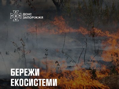У Запоріжжі та області рятувальники загасили 10 пожеж в екосистемах