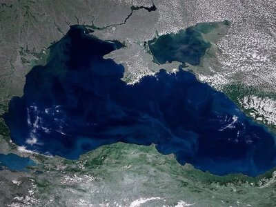 Топ-компания по контейнерным перевозкам приостановила рейсы в порт новороссийска - Bloomberg