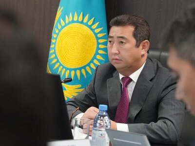 Айдарбек Сапаров поручил регионам ускорить развитие ветеринарной инфраструктуры