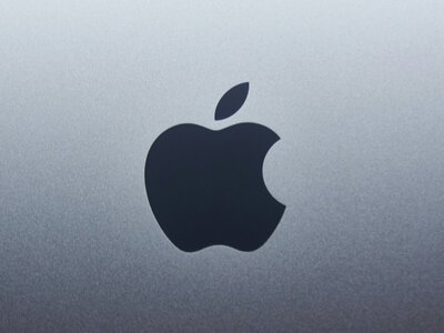 Apple отгрузит более 10 млн сложных iPhone за первый год