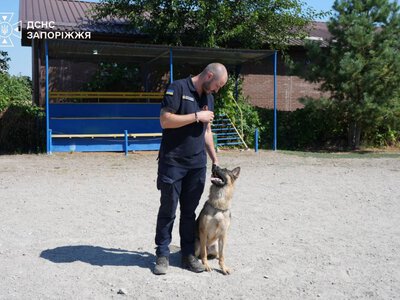 У Запоріжжі кінологи ДСНС щодня тренують собак для пошуку людей