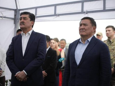 В Акмолинской области развивается производство отечественного посадочного материала