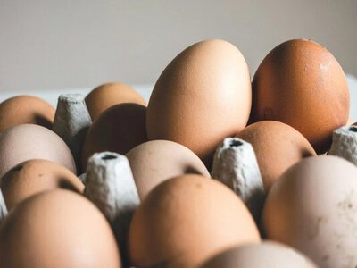 Яйца в Украине могут резко подорожать в сентябре: названы причины и актуальные цены в супермаркетах