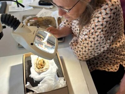 Археологи обнаружили в датском захоронении девочки фрагменты 1300-летней одежды