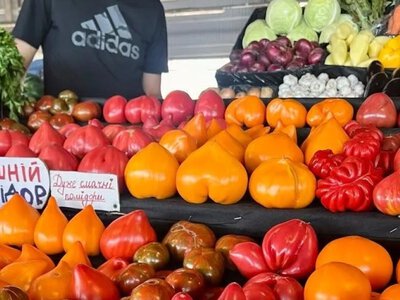 Цены на овощи в Украине — стоимость овощей 28 августа