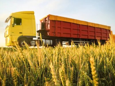 В Украине изменились цены на перевозку зерна: почему длинные маршруты дорожают, а короткие дешевеют