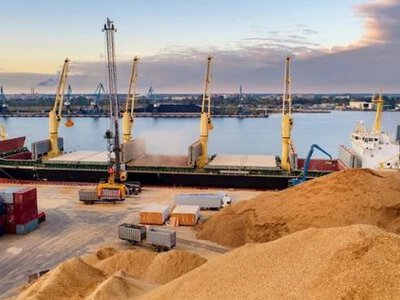 Один из главных аграрных регионов РФ ввел режим ЧС из-за остановки экспорта зерна