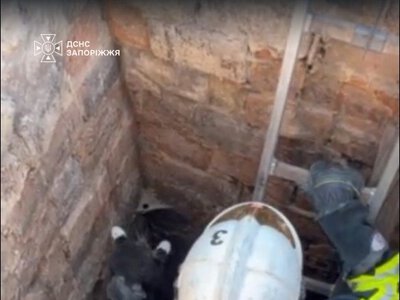 У Запоріжжі рятувальники дістали з ями двох котів