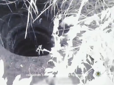 Поліцейські Запоріжжя допомогли песику вибратися з пастки (відео)