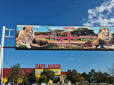 Луганскую львицу Симу вместо крымского «Тайгана» отправили в Ярославский цирк