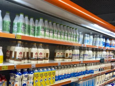 В супермаркетах обнаружили фальсифицированную сметану: из чего она состоит