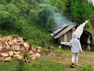 Волки, медведи и 9 коров: как выживает украинка с дочерью на карпатской полонине (фото и видео) (Видео)