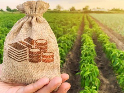 Кредитование украинского агросектора выросло на 25 млрд грн за год