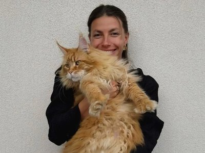 Марина Бех показала своего шикарного кота мейн-куна и покорила соцсети