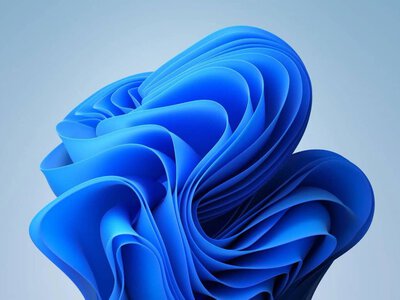 Августовское обновление Windows 11 сбрасывает курсоры и обои у некоторых пользователей