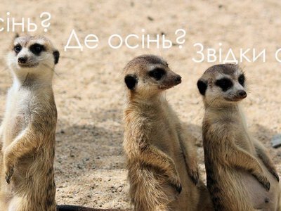 Одесский юмор: Последний день бесплатного лета — дальше только за деньги