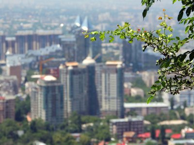  В Алматы часть сотрудников переведут на удаленку из-за пробок 1 сентября 