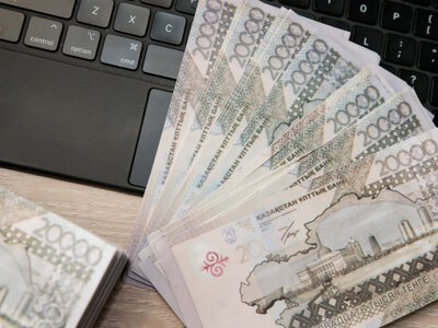  35 млн тенге вернули в бюджет после проверки земель в Байзакском районе 