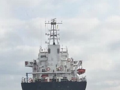 Турция ищет способ возобновить экспорт зерна через Чёрное море: ведёт переговоры с Киевом и Москвой