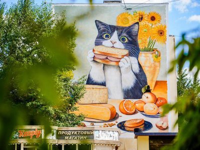 Необычный кот появился на фасаде дома в Астане