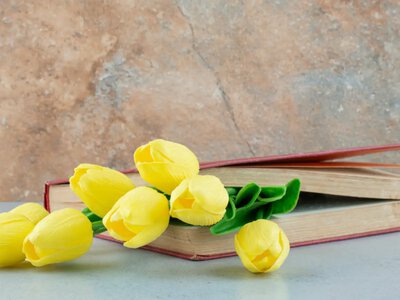 Какой букет подарить учителю на 1 сентября: 4 лучших варианта