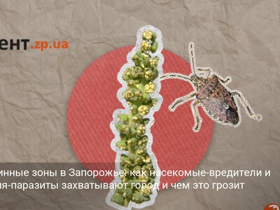 Карантинные зоны в Запорожье: как насекомые-вредители и растения-паразиты захватывают город и чем это грозит