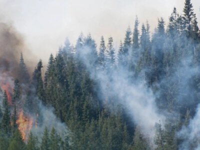  Пожар в нацпарке «Алтын-Эмель» локализовали, тушение продолжается 