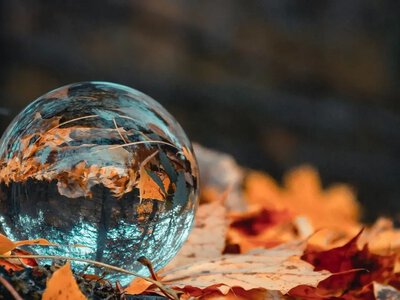 Солнце готовит спокойное начало осени: что покажет 1 сентября